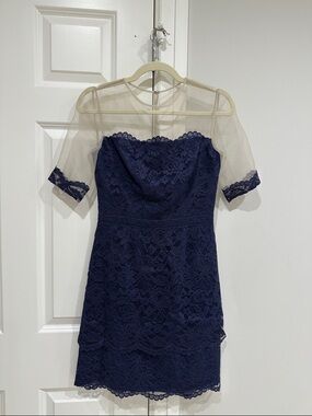 Cynthia Steffe dark purple with sheer detail NWT